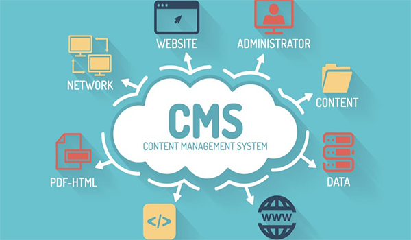 CMS có vai trò quan trọng trong việc điều khiển và vận hành trang web, đồng thời