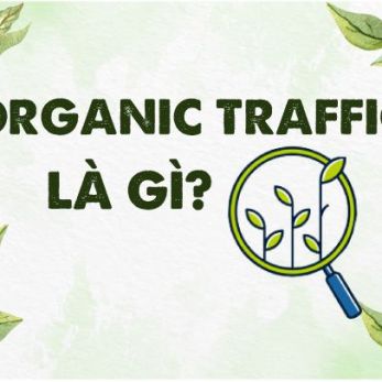 Organic traffic là gì? vì sao nên đầu tư vào organic traffic?