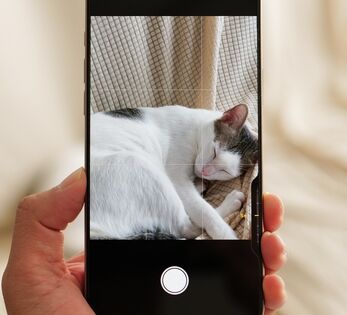 Sử dụng Camera Control của iPhone 16 như thế nào cho hiệu quả?