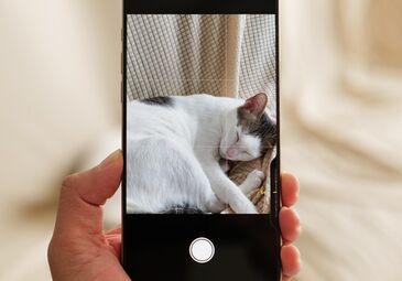 Sử dụng Camera Control của iPhone 16 như thế nào cho hiệu quả?