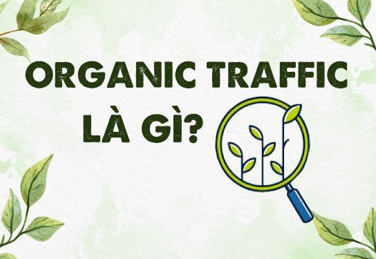 Organic traffic là gì? vì sao nên đầu tư vào organic traffic?
