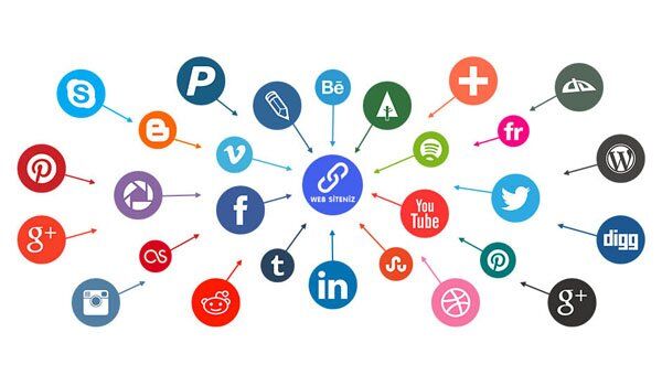 Website vệ tinh là gì? Ảnh hưởng mạnh mẽ của site vệ tinh khi seo