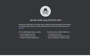 Giao diện chế độ ẩn danh