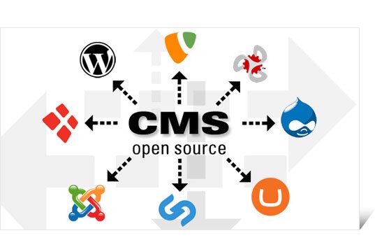cms là gì