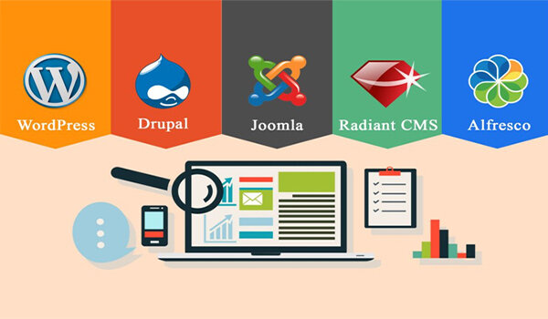 Có nhiều CMS khác nhau để người dùng tùy ý lựa chọn.