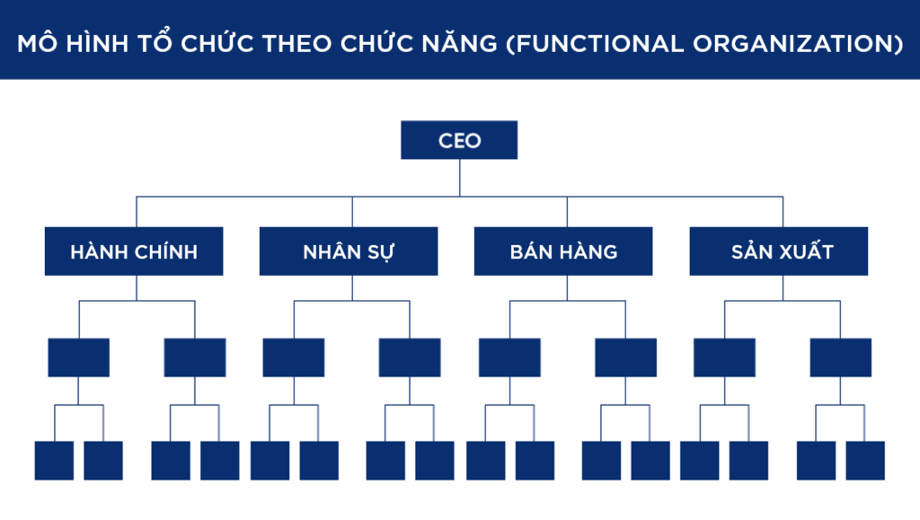 Ví dụ: Sơ đồ tổ chức bộ máy kế toán theo chức năng