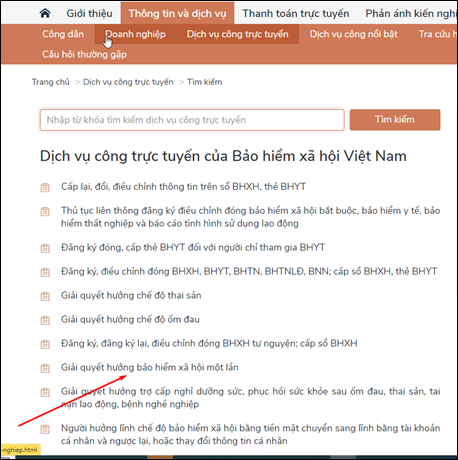 Nhận tiền BHXH một lần dễ dàng qua Cổng dịch vụ công- Ảnh 20.