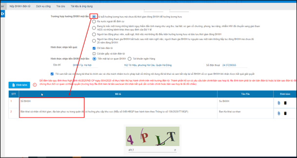 Nhận tiền BHXH một lần dễ dàng qua Cổng dịch vụ công- Ảnh 9.